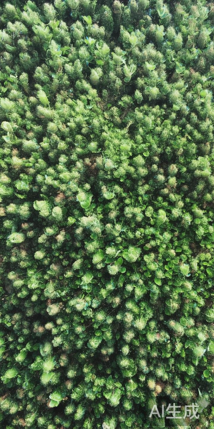 一、后台处理流程繁琐
C7娱乐出款慢的主要原因之